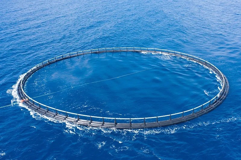 青海深入探究：HDPE深水网箱的优势与应用