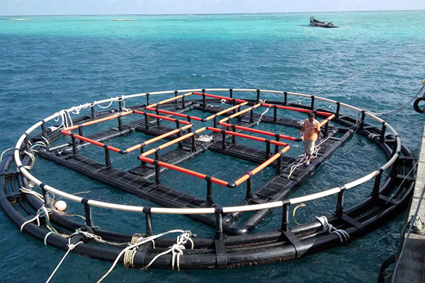 荆州深海奇迹、水下牧场：探索深海养鱼网箱在水产养殖中的新可能